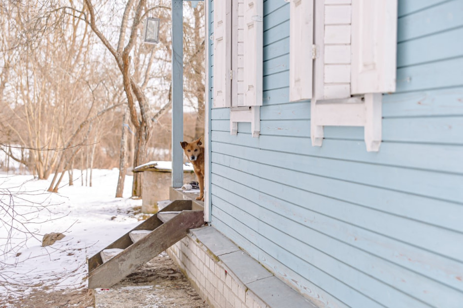 Возрождение деревни Косаричи 19.jpg