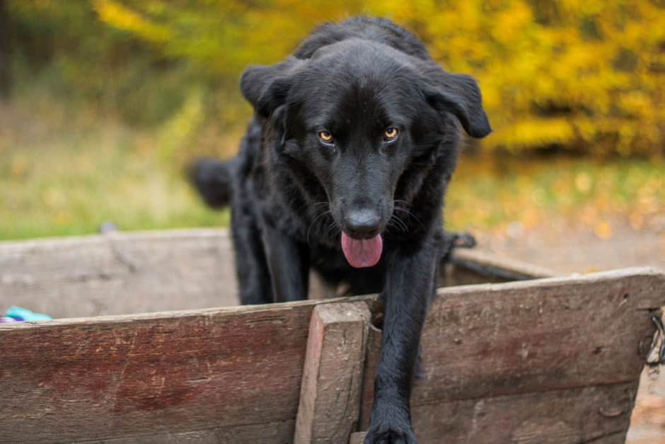 Сбор клюквы 8.jpg