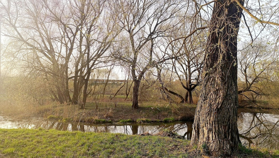 Топ-5 экотроп Минска 11_Белая дача.jpg Топ-5 экотроп Минска 11_Белая дача.jpg