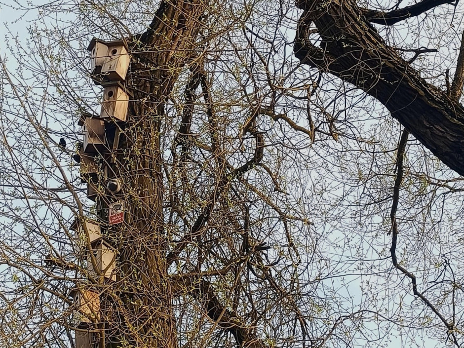 Топ-5 экотроп Минска 6_Белая дача.jpg