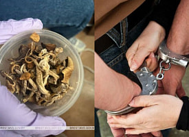 До 5 лет тюрьмы. Милиция задержала белоруса за эти сушеные грибы