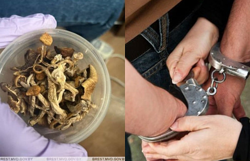 До 5 лет тюрьмы. Милиция задержала белоруса за эти сушеные грибы