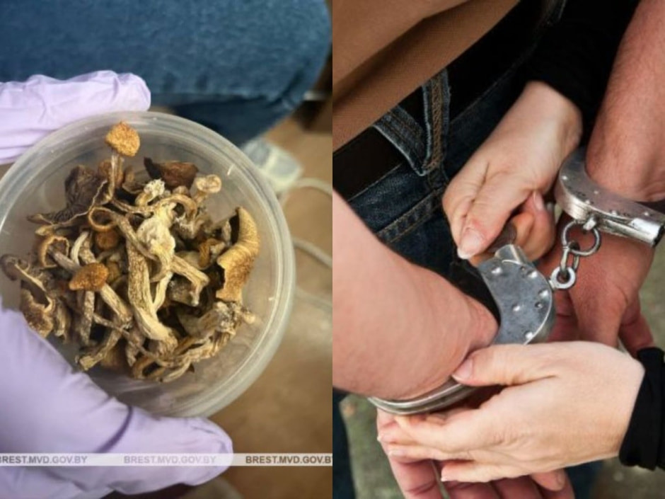 задержание за сушеные грибы