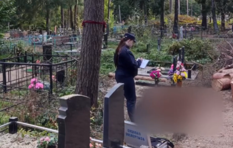 В Минском районе на кладбище студента придавило деревом — он погиб.png