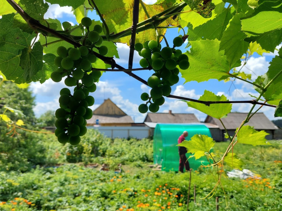 Мастерица из Рухово 20.jpg