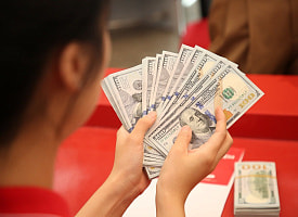 Евро в Беларуси откатился до минимума за 10 месяцев. А что с долларом?