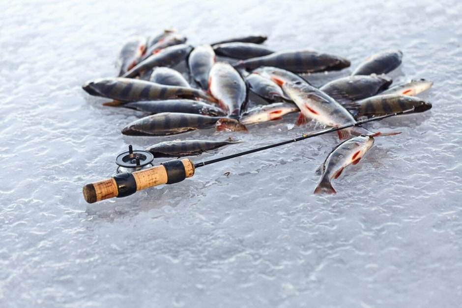 зимняя рыбалка