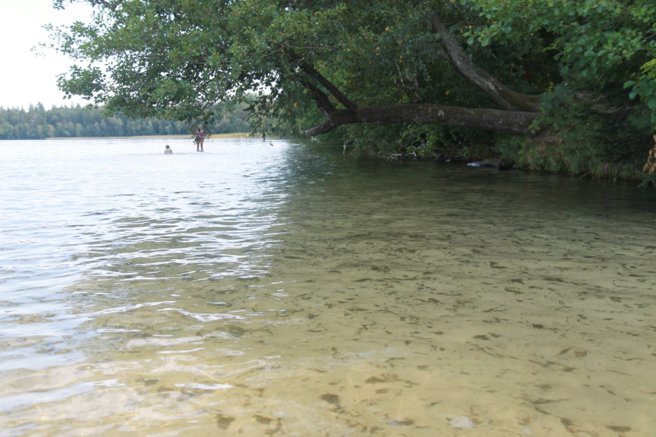 Свіцязь8-2.jpg Свіцязь8-2.jpg