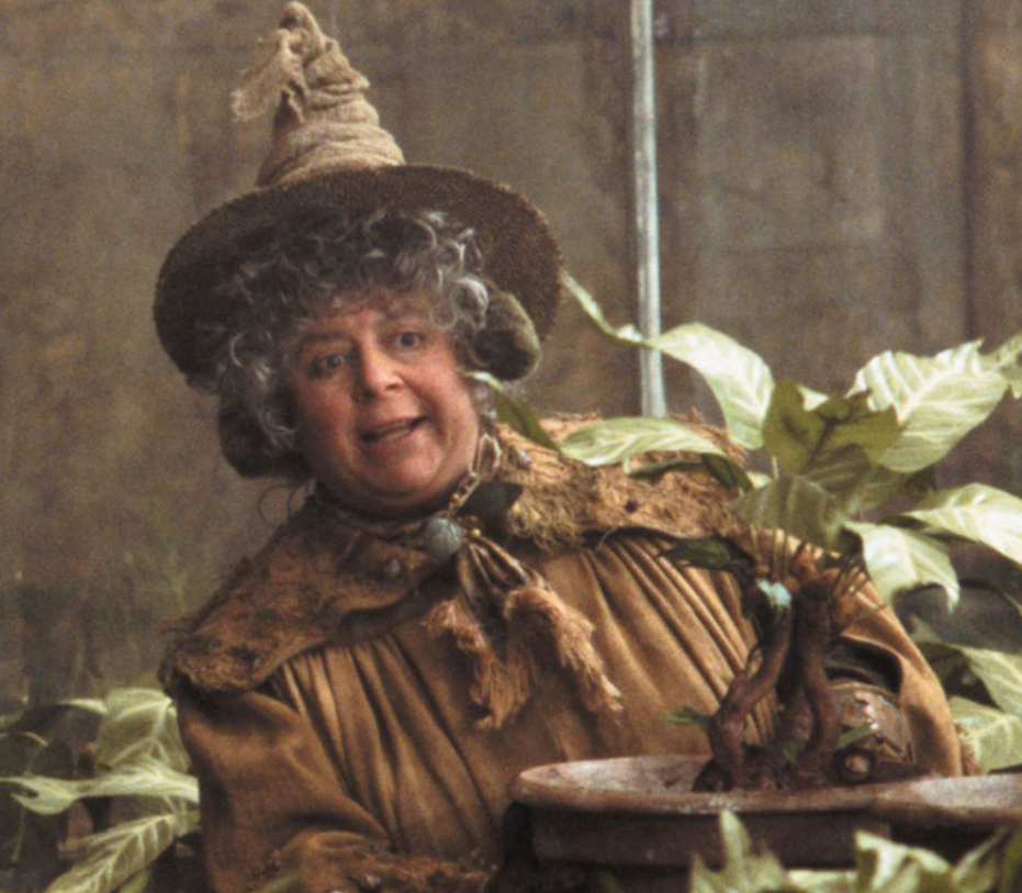 мириам маргулис.png мириам маргулис.png