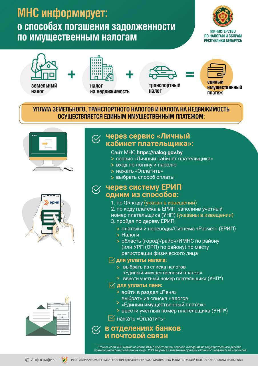 Инфографика МНС