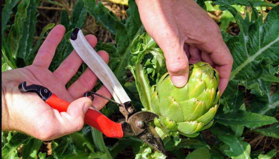 photo_2025-12-13_17-32-13 (2).jpg