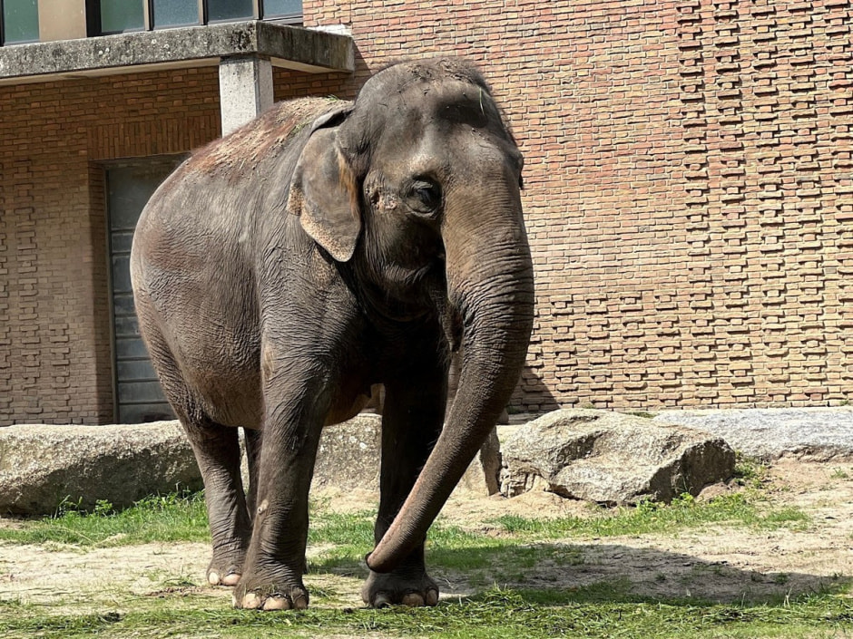 Берлинский зоопарк 7.jpg