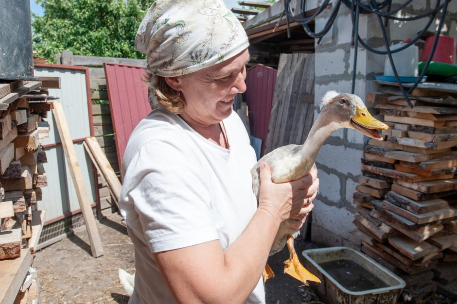 Семья Лой 20 лет выращивает огурцы и помидоры 8.jpg