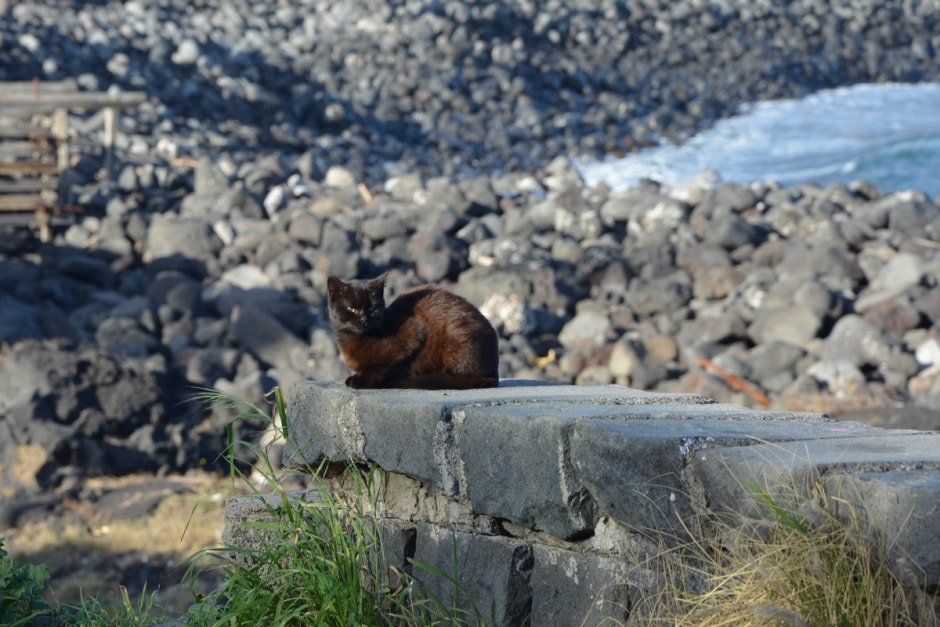 Неделя на Сицилии 10.JPG