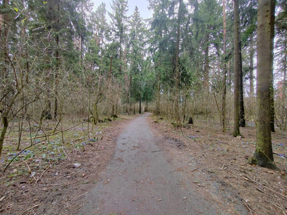 Парк 50-летия Октября 2.jpg