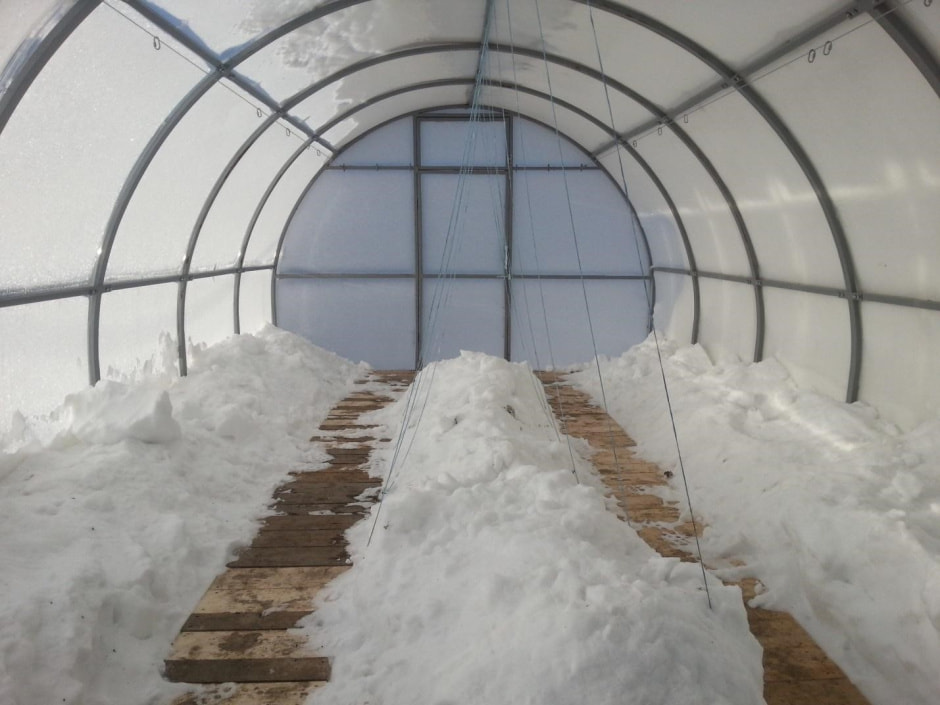 Консервируем теплицу правильно 10.jpg