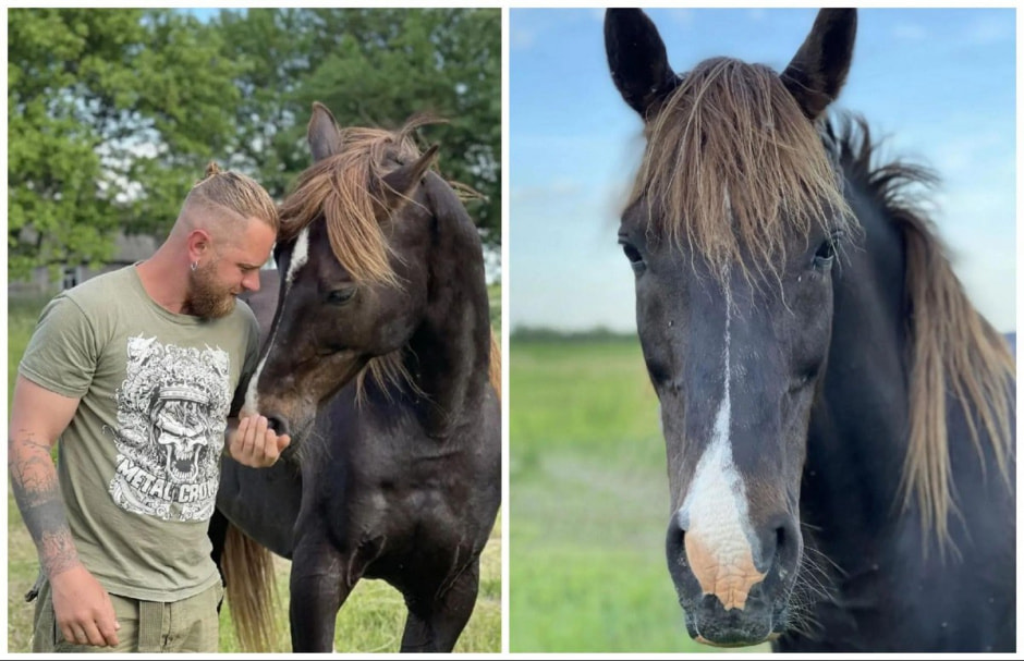 Спасение животных проект Земляне 3.jpg