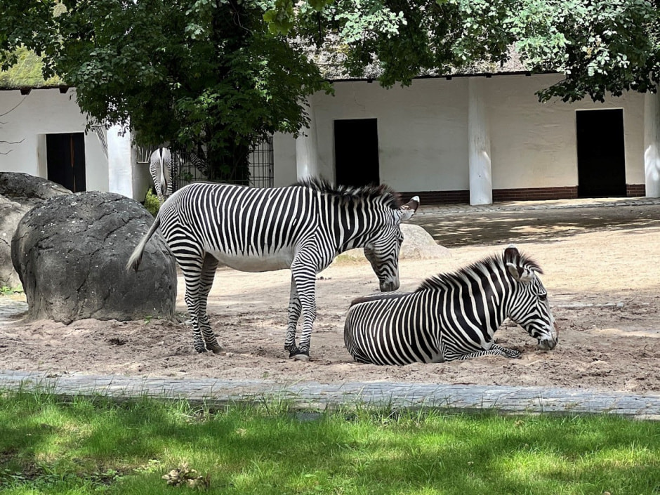 Берлинский зоопарк 9.jpg