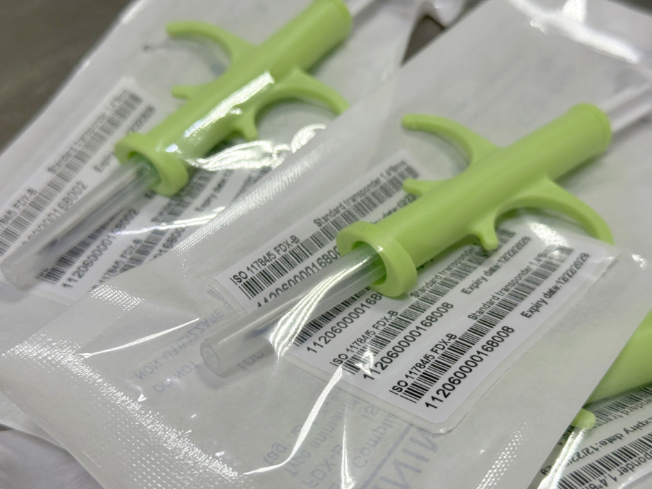 Чипы для животных.jpg