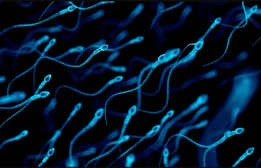 Сперма “портится”? Учёные из Оксфорда поставили под сомнение пользу длительного воздержания