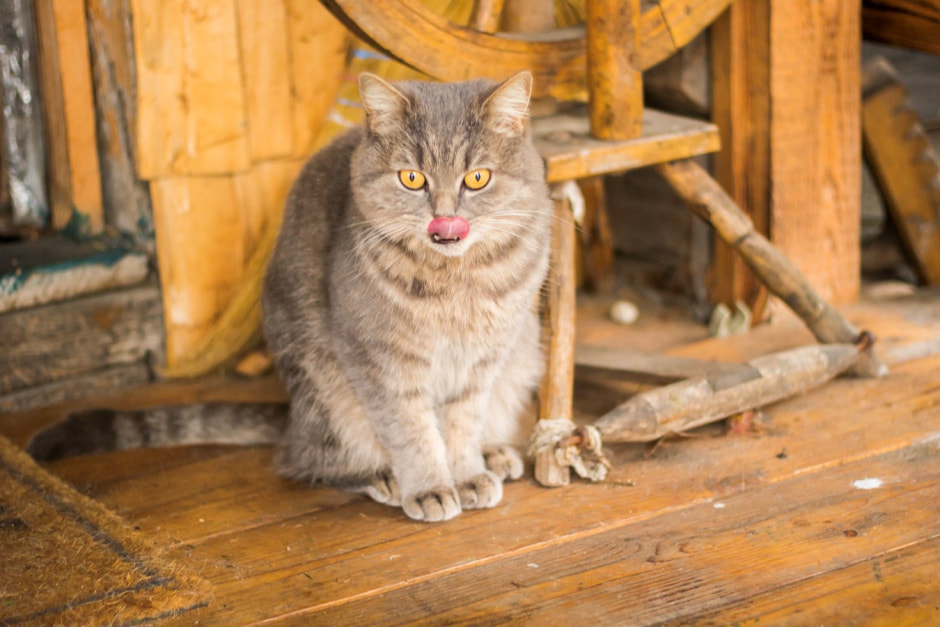 Агроусадьба Букашкин дом 19.jpg