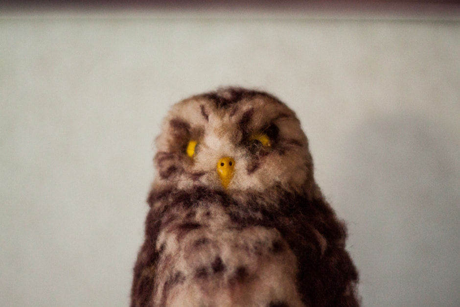 Агроусадьба Сосновый Бор_доп 3.jpg