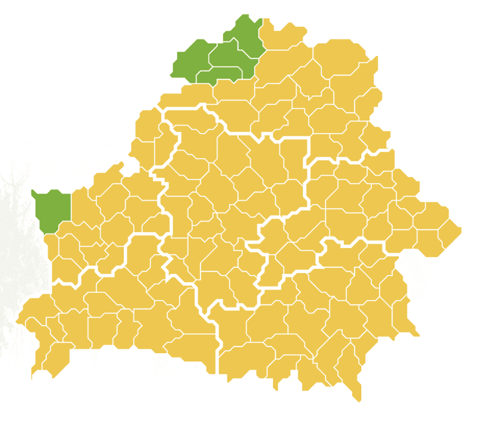 леса.png леса.png