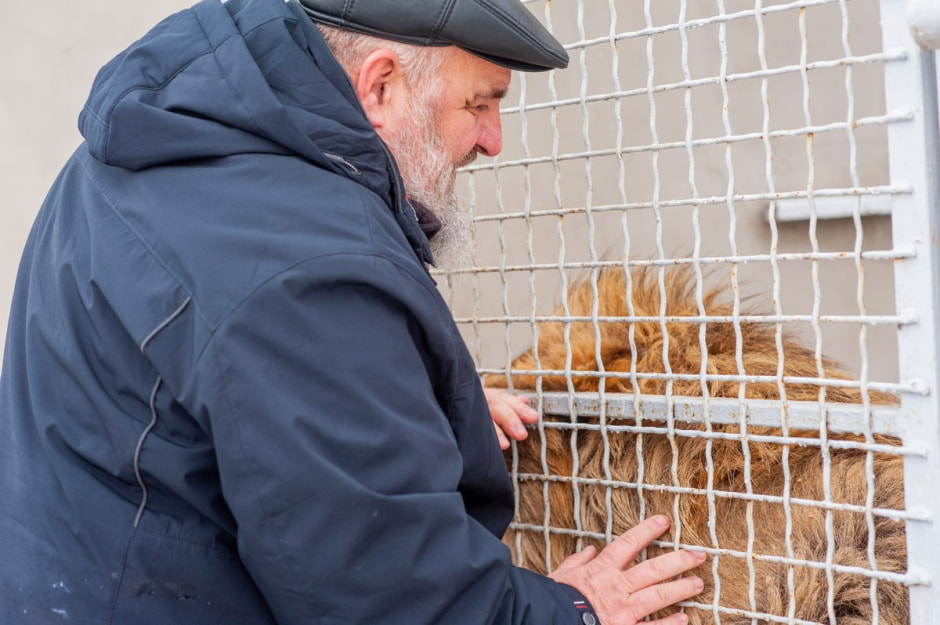 Юрий Карпилович и его зоопарк в Подгае 18.jpg