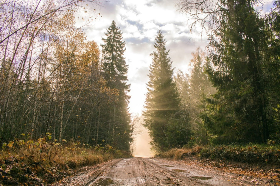 Одни на целый хутор Красный бор 2.jpg