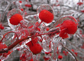 Снова желтый уровень опасности для всей Беларуси. Что с погодой 21 февраля?