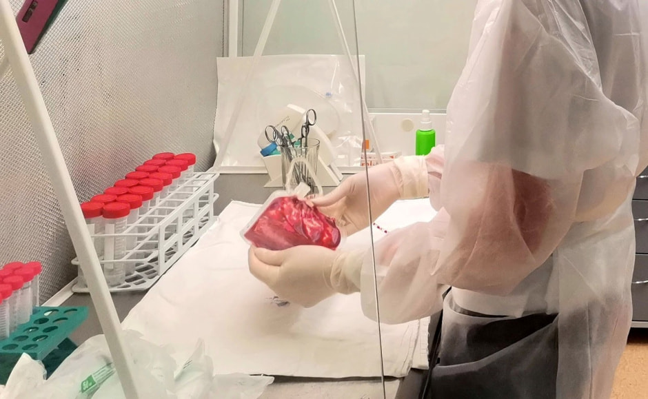 Пуповинная кровь 2.jpg