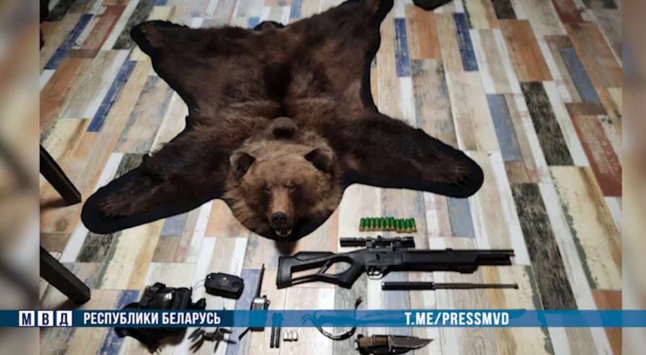 Медведь и браконьеры .jpg