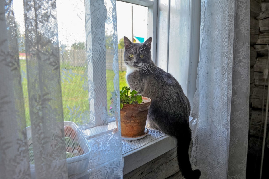 Ремонт дома за $8 тысяч 23.jpg Ремонт дома за $8 тысяч 23.jpg