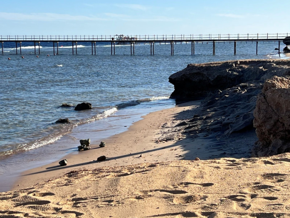 Отдых в Египте зимой 2024 2.jpg