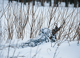 Штраф до 1350 рублей. С 1 января в Беларуси запретили охотиться на этих животных