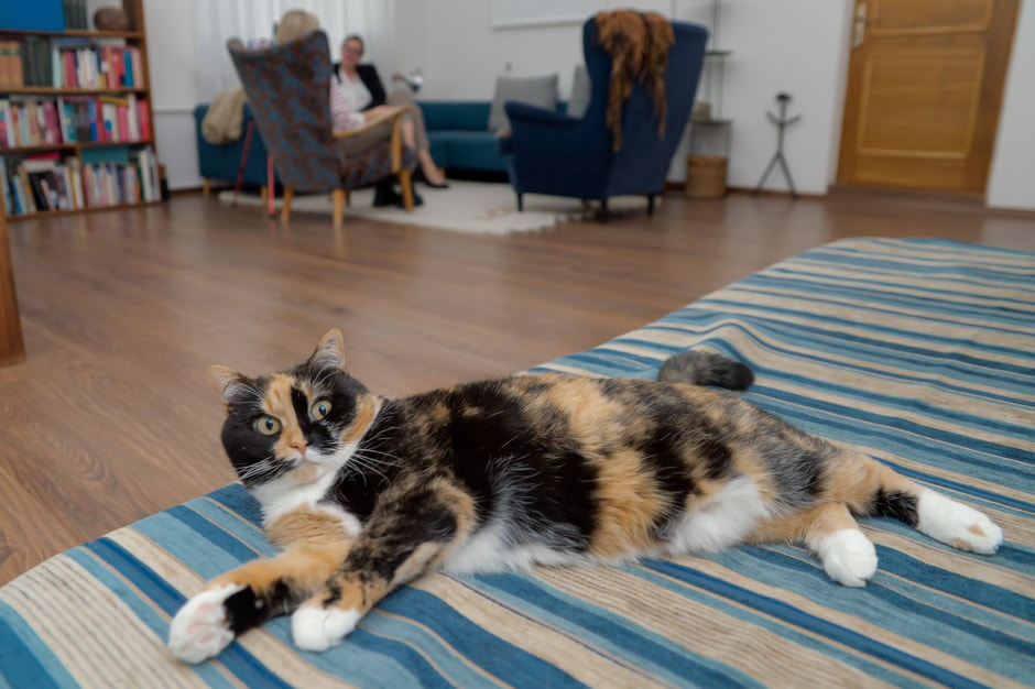 Посол Швейцарии 3.jpg