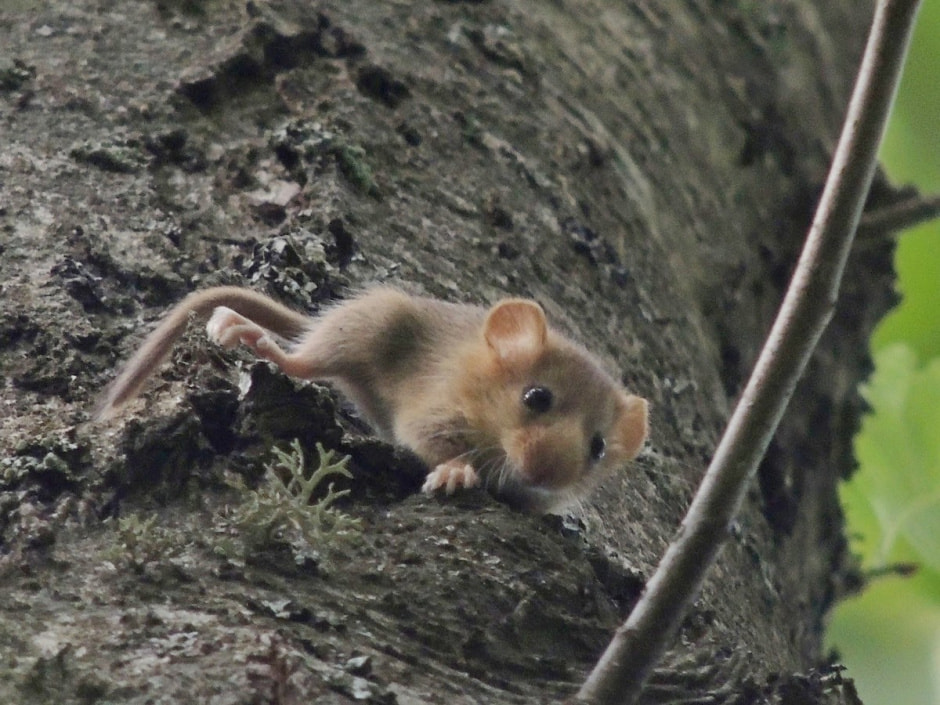 Экспедиция сони 6.jpg Экспедиция сони 6.jpg