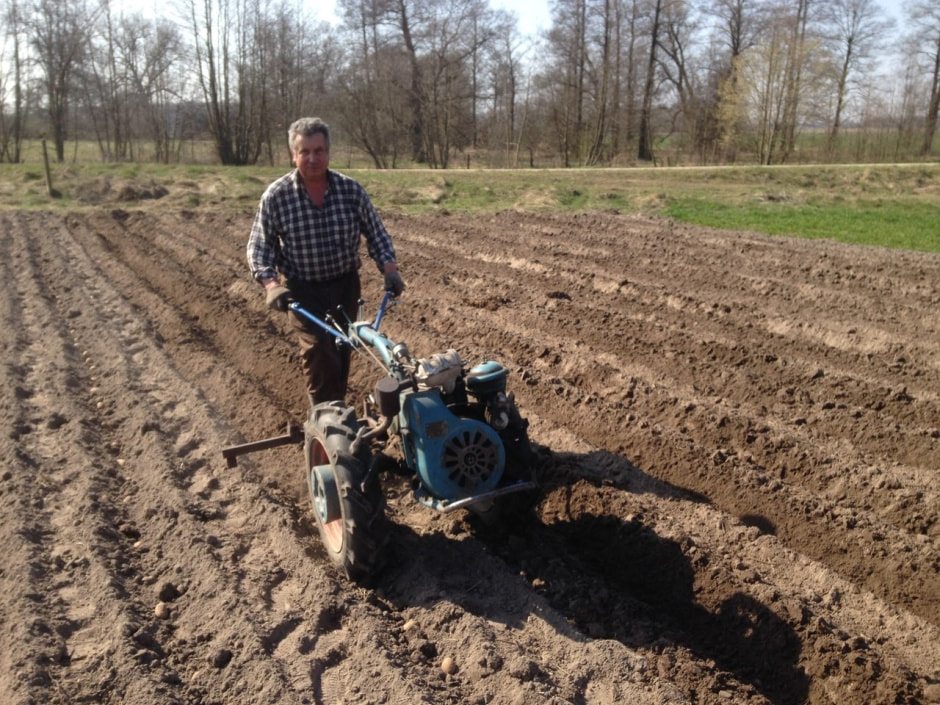 Деревня Ушковица 5.jpg