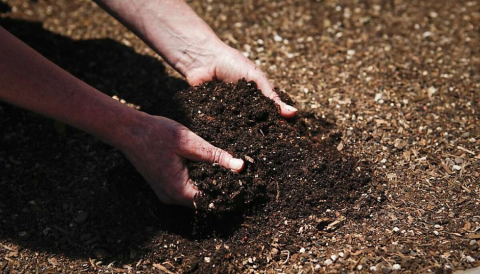 Какие удобрения вносить осенью под перекопку земли.jpg