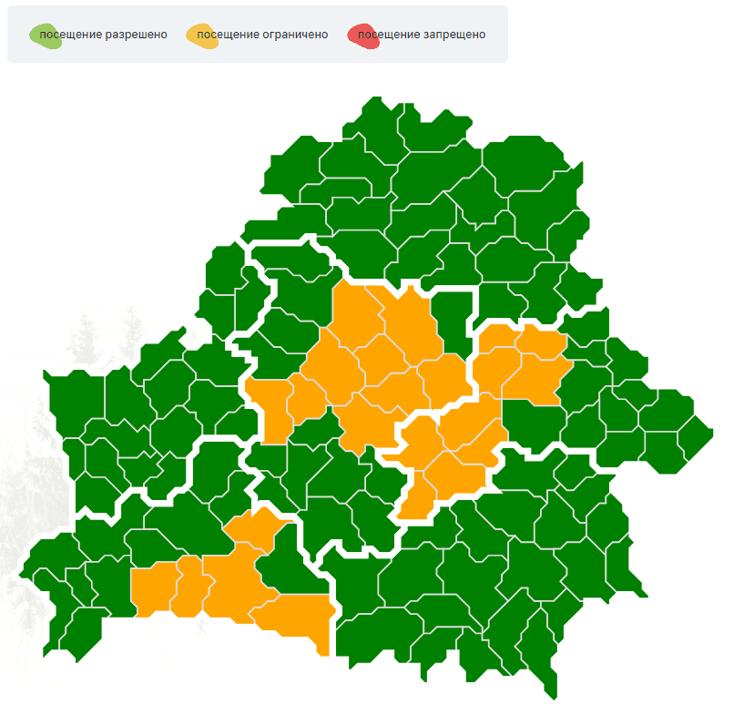 лес ограничения.png