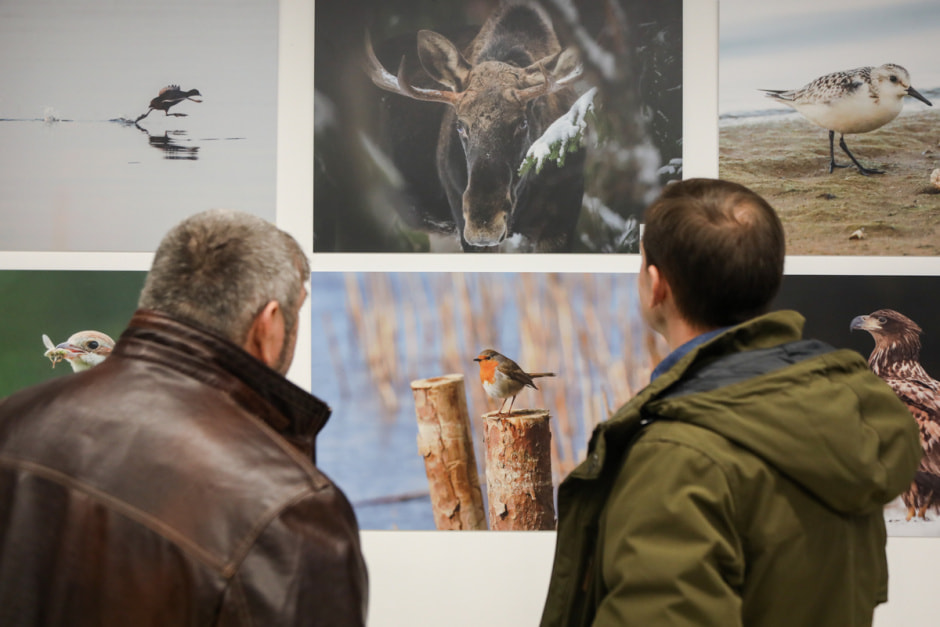 фотовыставка Дикая природа Беларуси 31.jpg