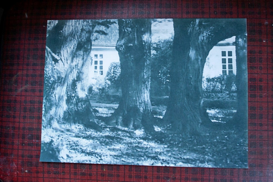 Солдатовы и усадьба Дуниных-Раецких 7.jpg