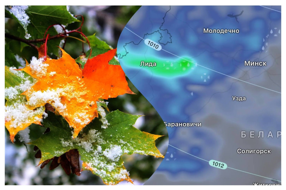 мокрый снег.jpg