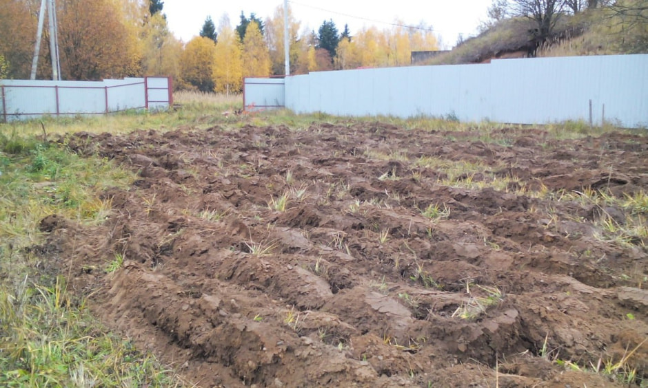 дача 1.jpg дача 1.jpg