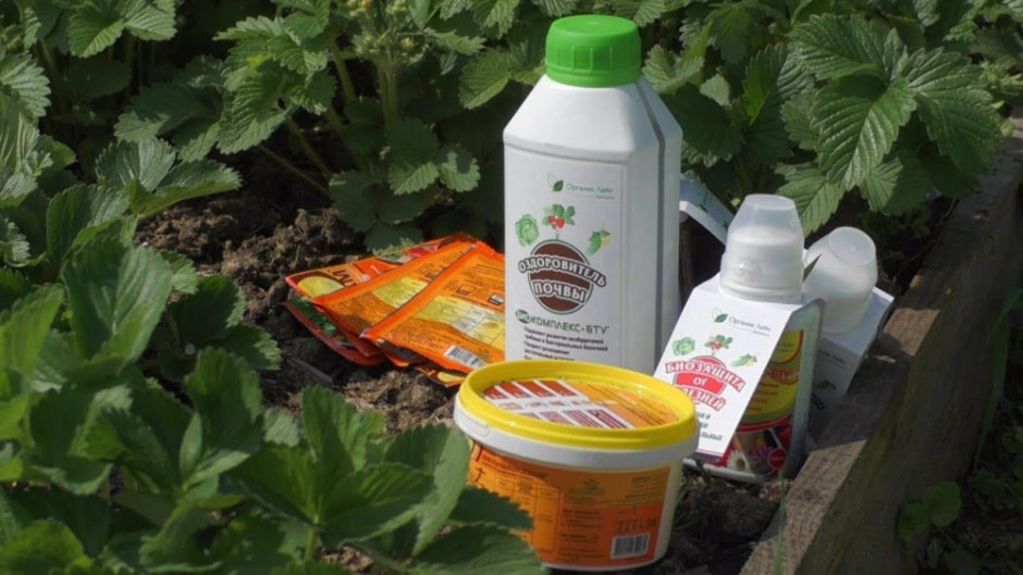 биопрепараты.jpg биопрепараты.jpg