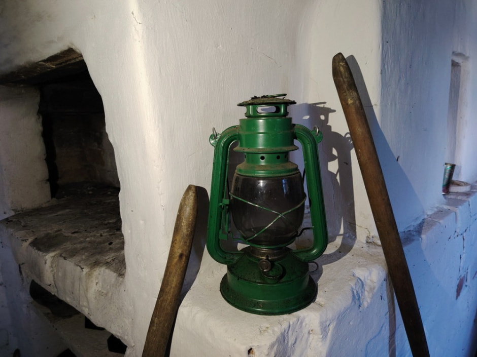 Как бортник спасает на Полесье черных пчел 9.jpg