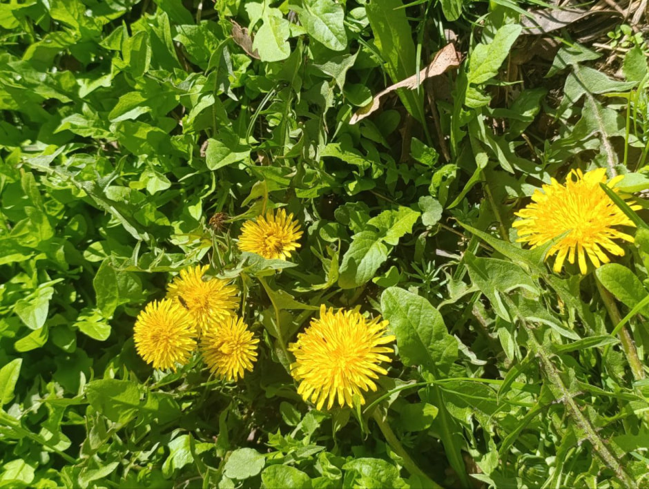 Прогноз погоды от Рябова с 28 апреля по 4 мая.jpg