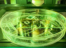 Для гаджетов и больниц. Ученые создали пластиковую пленку, которая убивает вирусы при контакте