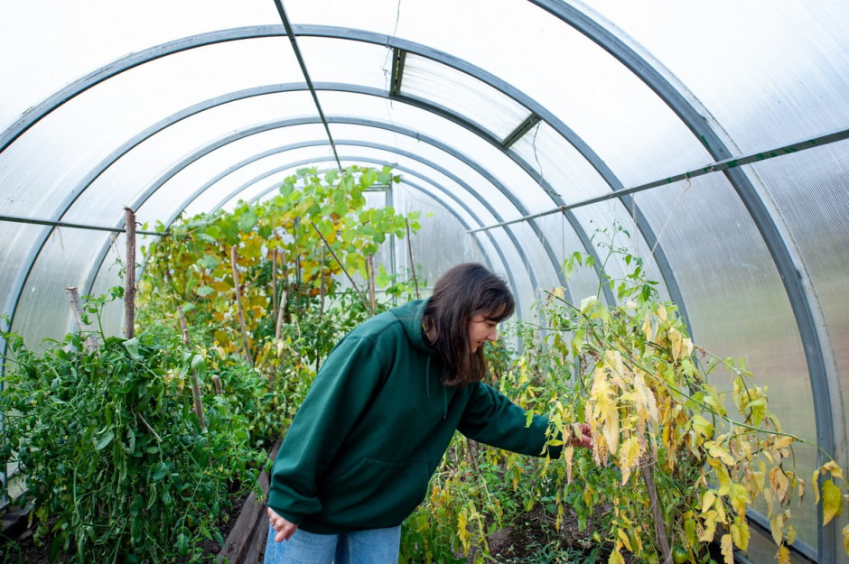 Хутор Окушково 19.jpg