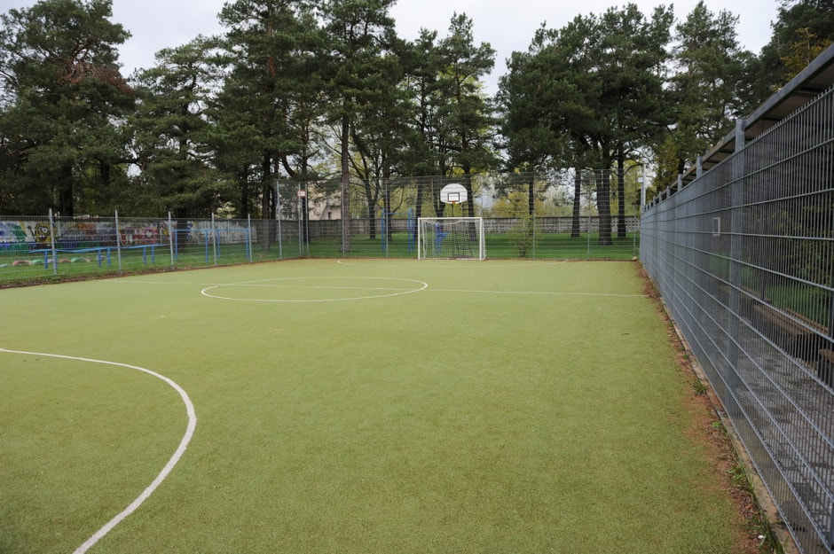 Профессиональная мама Инесса Лукашевич 13.jpg